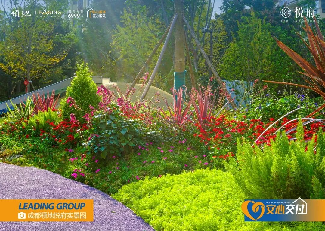 领地·悦府一期二批次交付