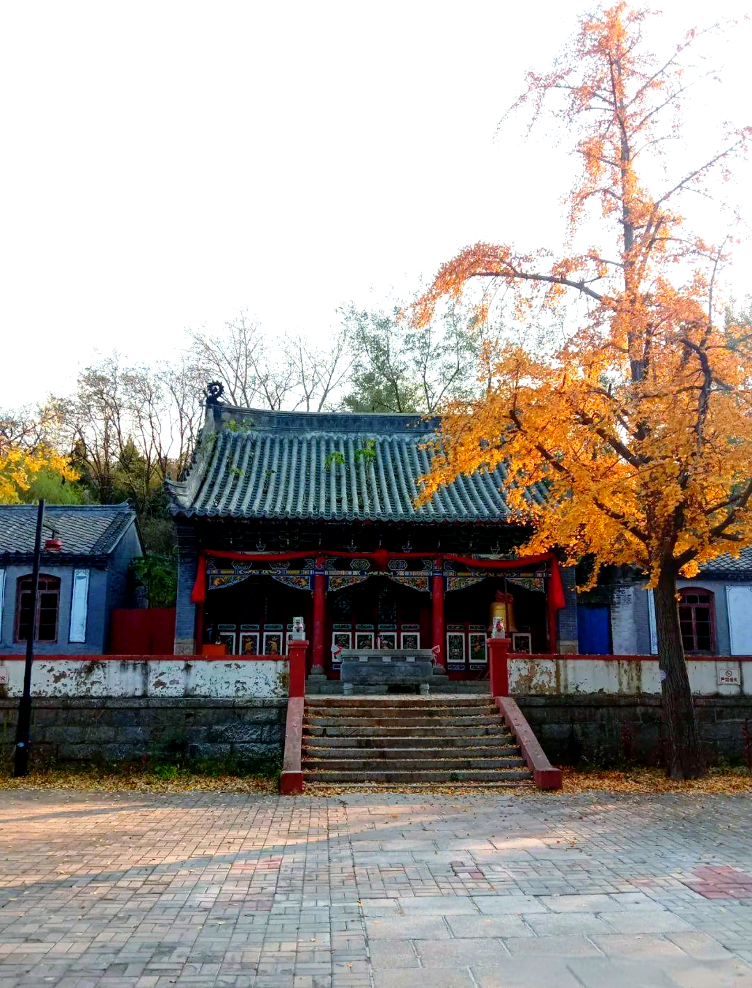 大连普兰店南山公园秋日风光概览