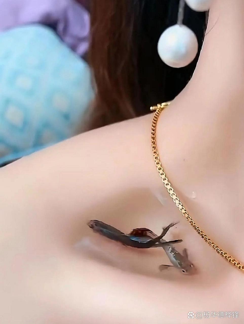 漂亮的女人,锁骨都是能养金鱼的[三哈]