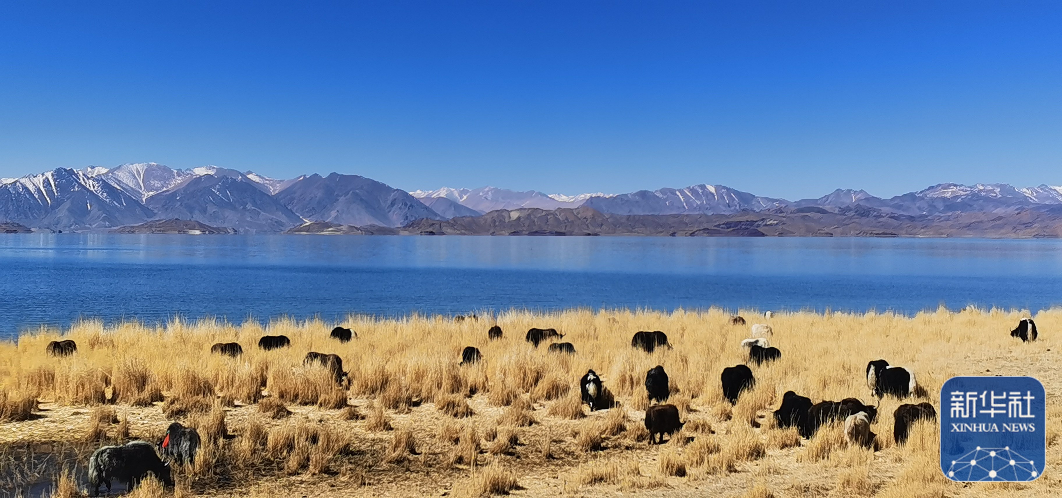 新华全媒 丨西陲明珠班公湖