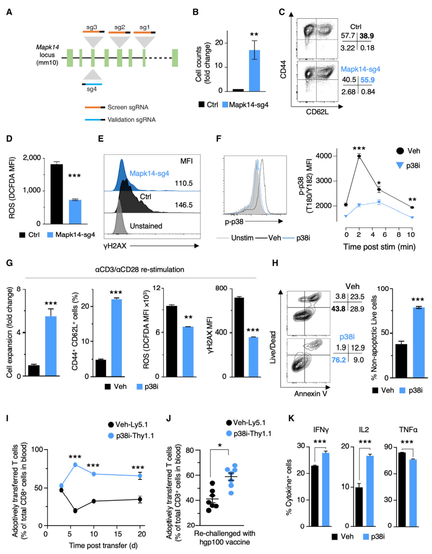 《cancer cell》:生信分析与crispr基因编辑技术的巧妙结合(if=31.7)