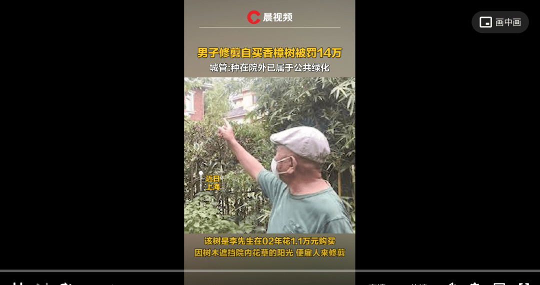 绿化树枝修剪培训内容怎么写