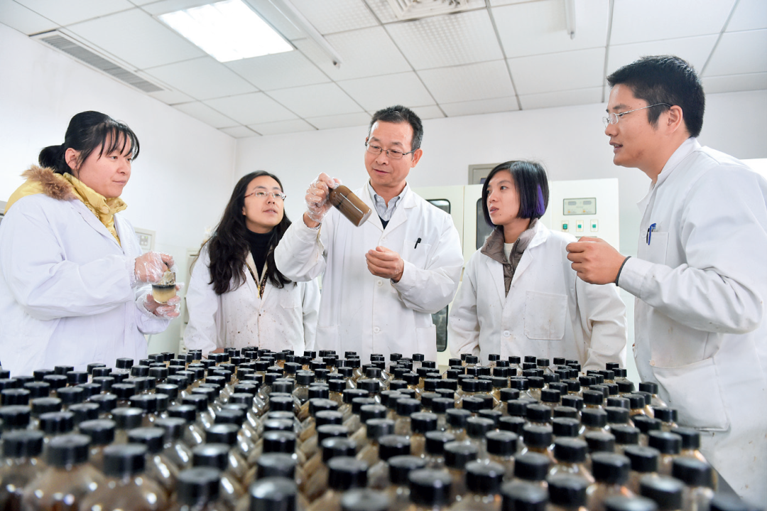 痴迷微生物的采油专家