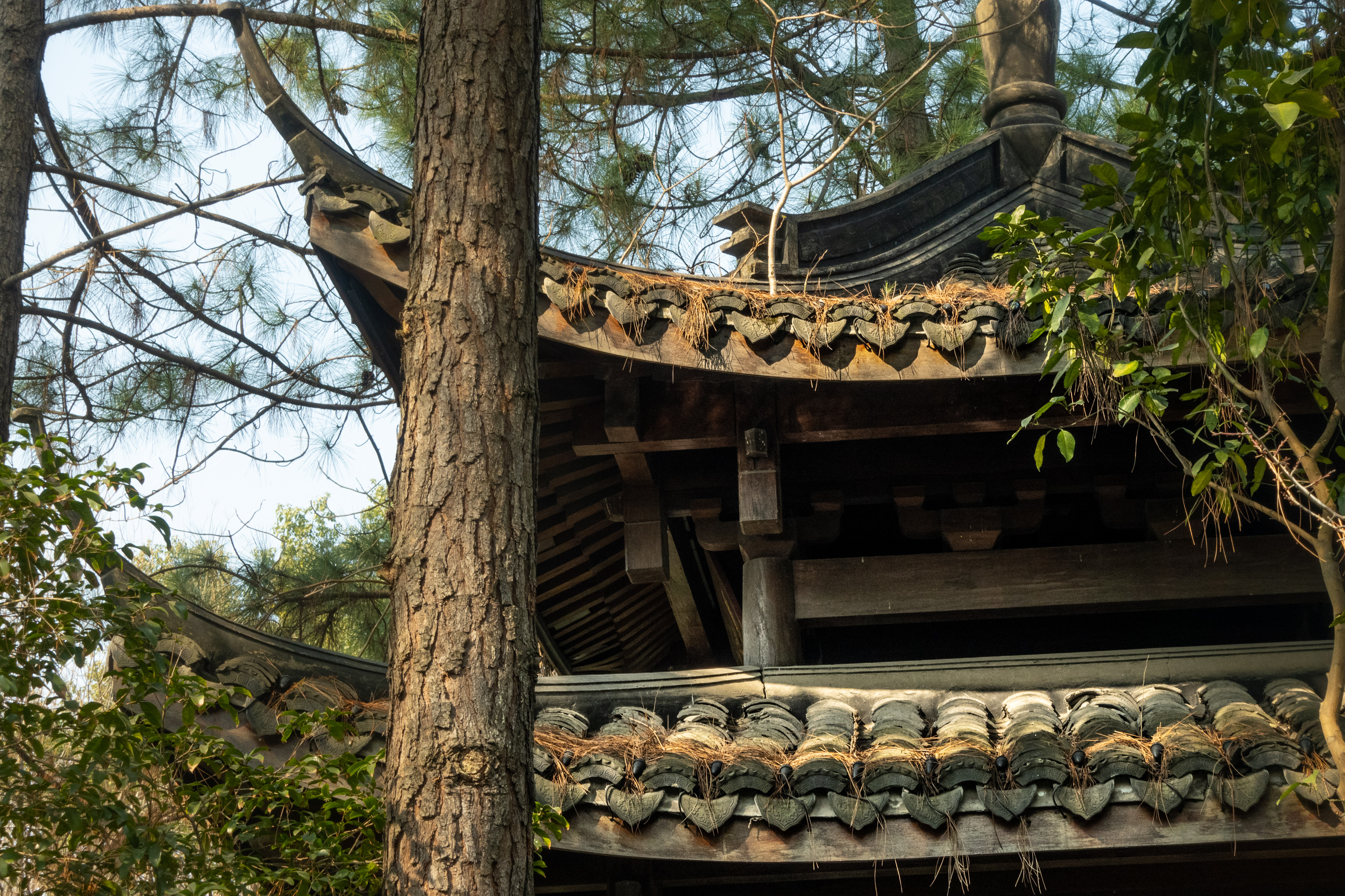 杭州小景:风波亭,令西湖多了几分血色