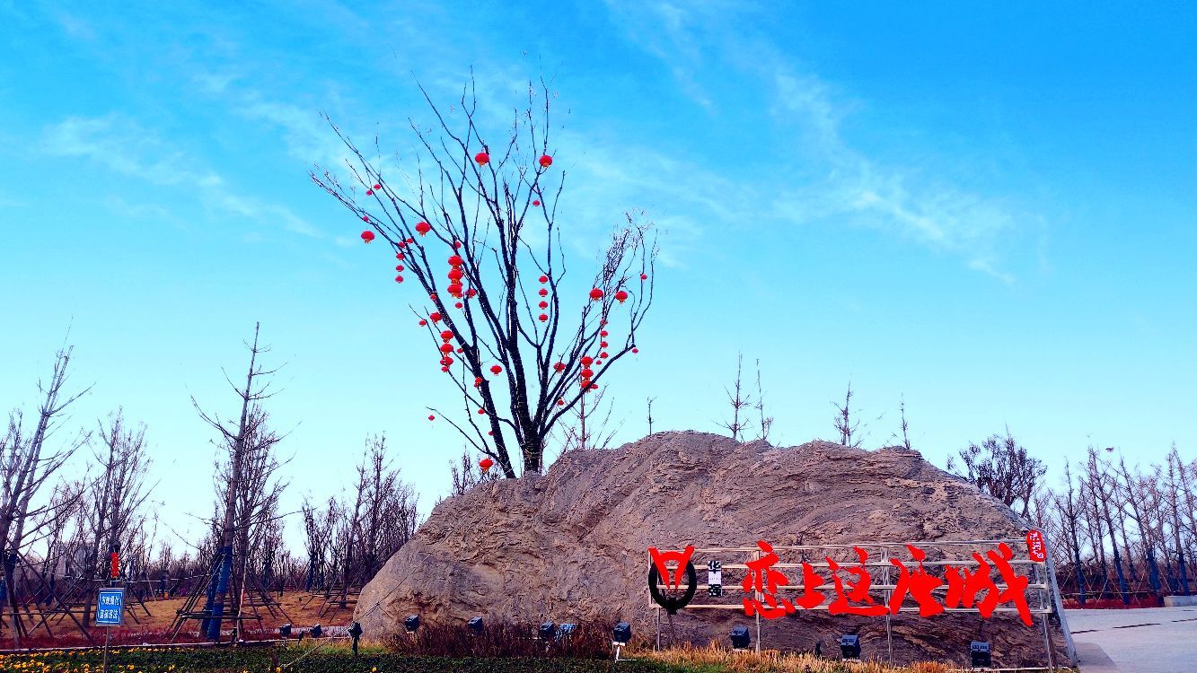 震撼大片—安阳洪河湿地公园