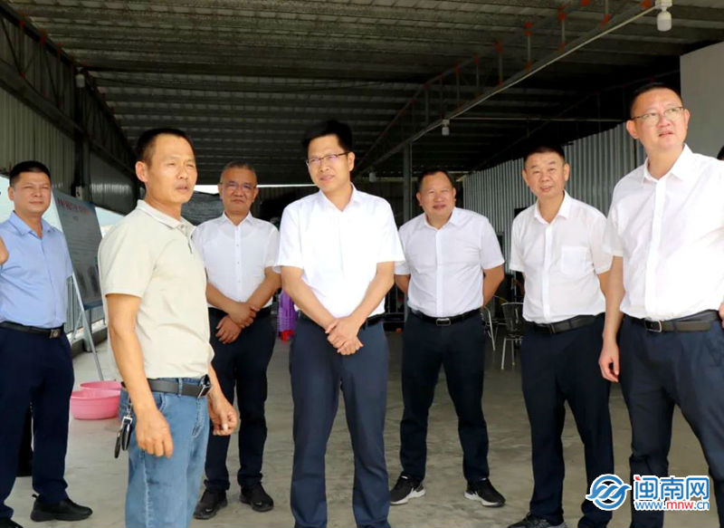 云霄县委书记到陈岱镇调研