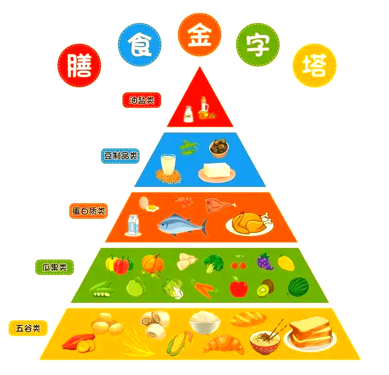 而膳食金字塔,正是一套科学的饮食指导工具,旨在为人们提供均衡饮食的