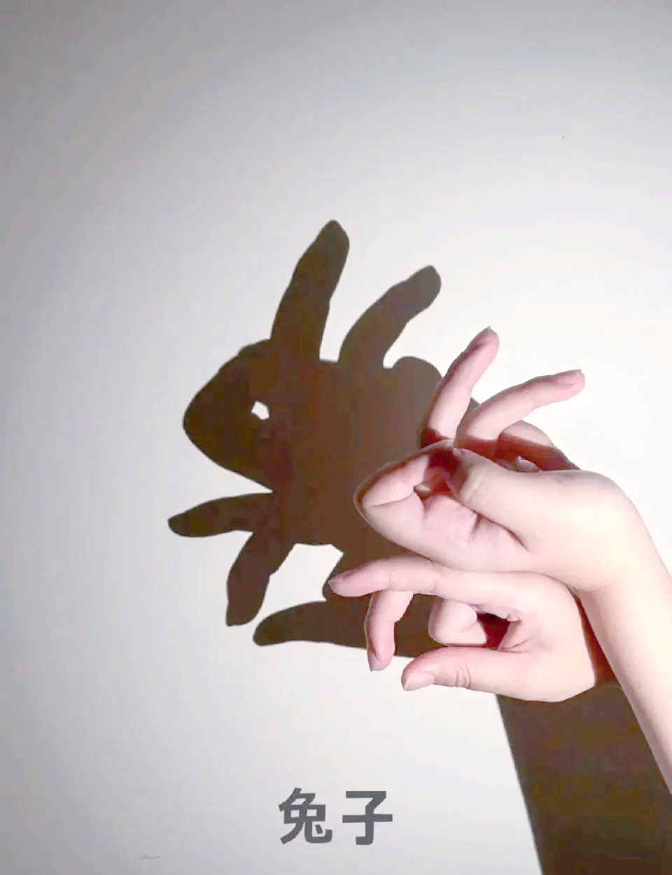 童年手影的乐趣与怀念