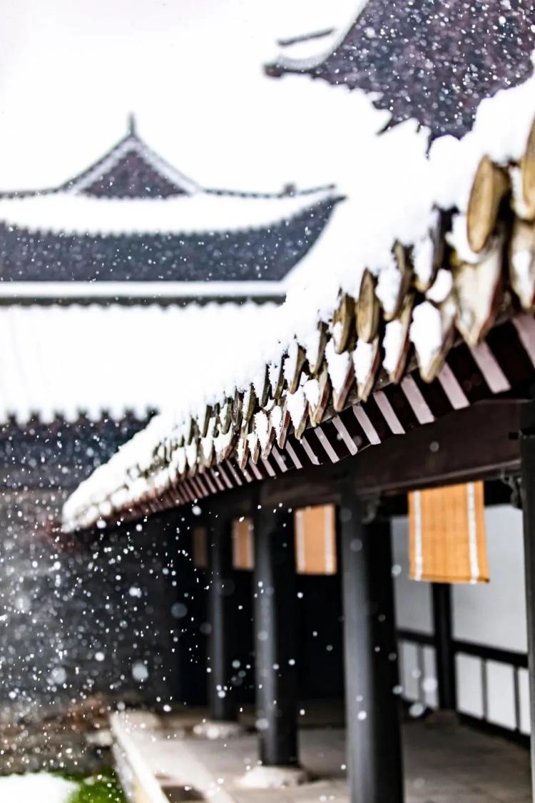 初雪后,被山东美景刷屏啦