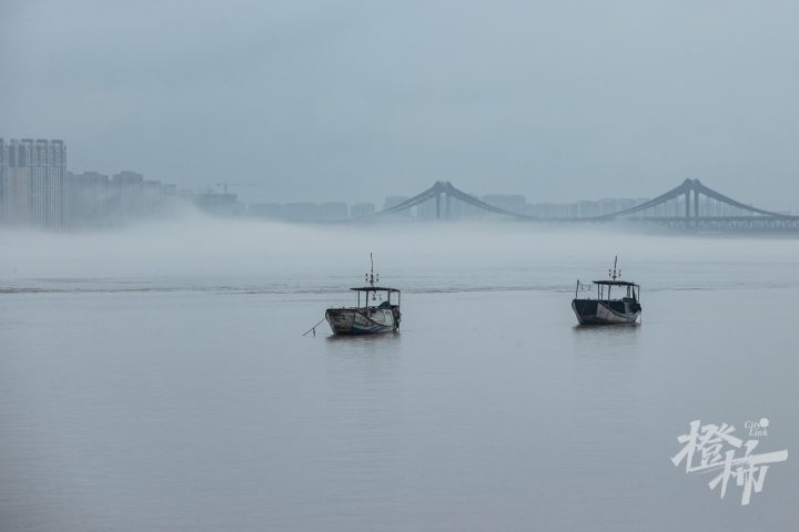 多图直击丨钱塘江上现"平流雾"景观,水汽升腾宛如仙境