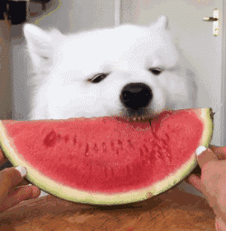 天气早知道丨双休日多云为主,下周这一天有雨