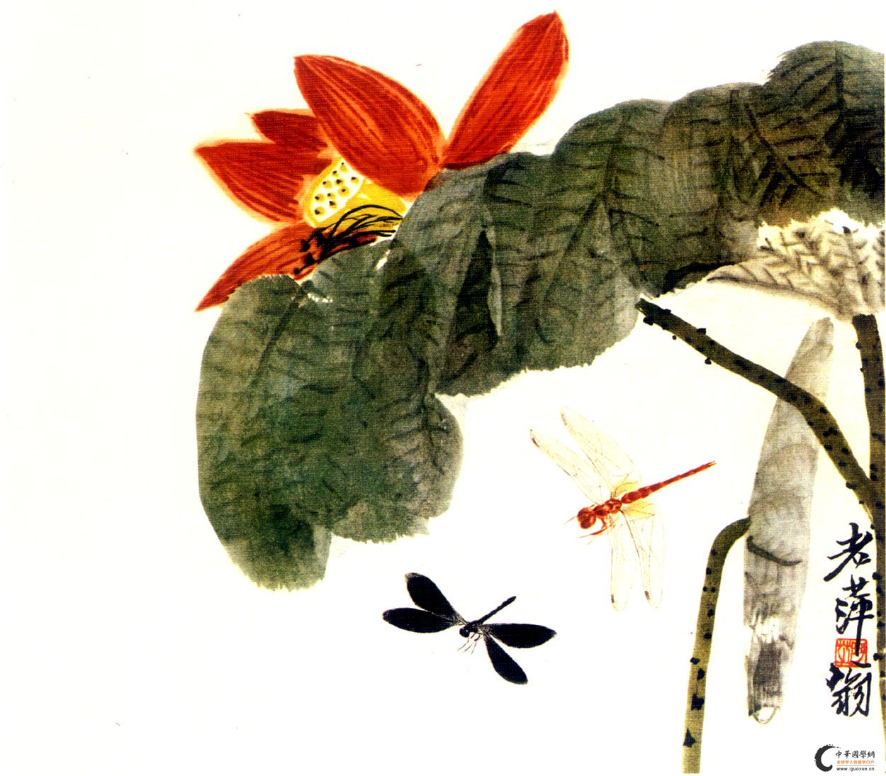 齐白石花卉草虫欣赏,古拙生趣,夏意凉凉