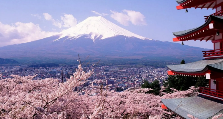 suki日语什么意思