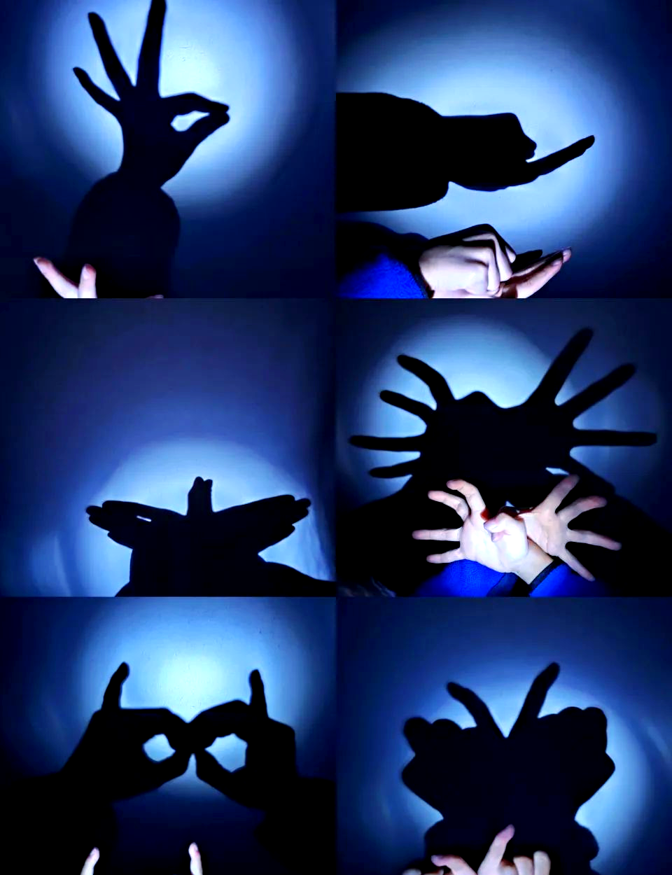 创意影子活动:孩子与家长共赏光影乐趣