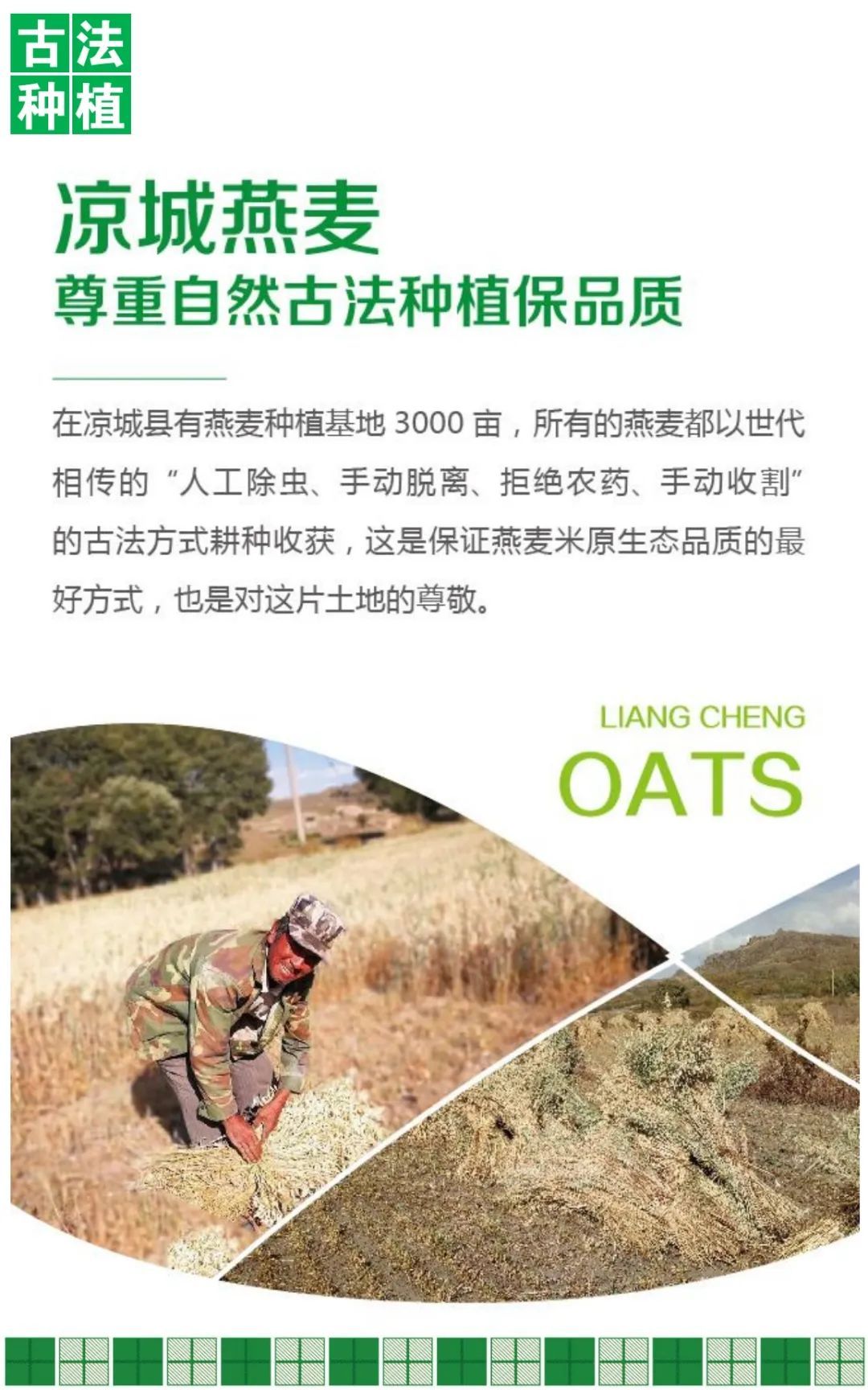 田也杂粮:"中国好民星唱响中国好品牌"系列活动上榜企业/品牌