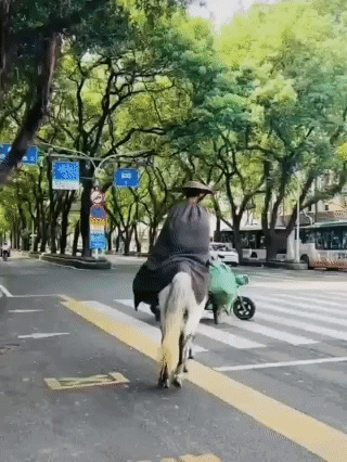 �̽���Խ�й������ظ����������������͡�������¡���