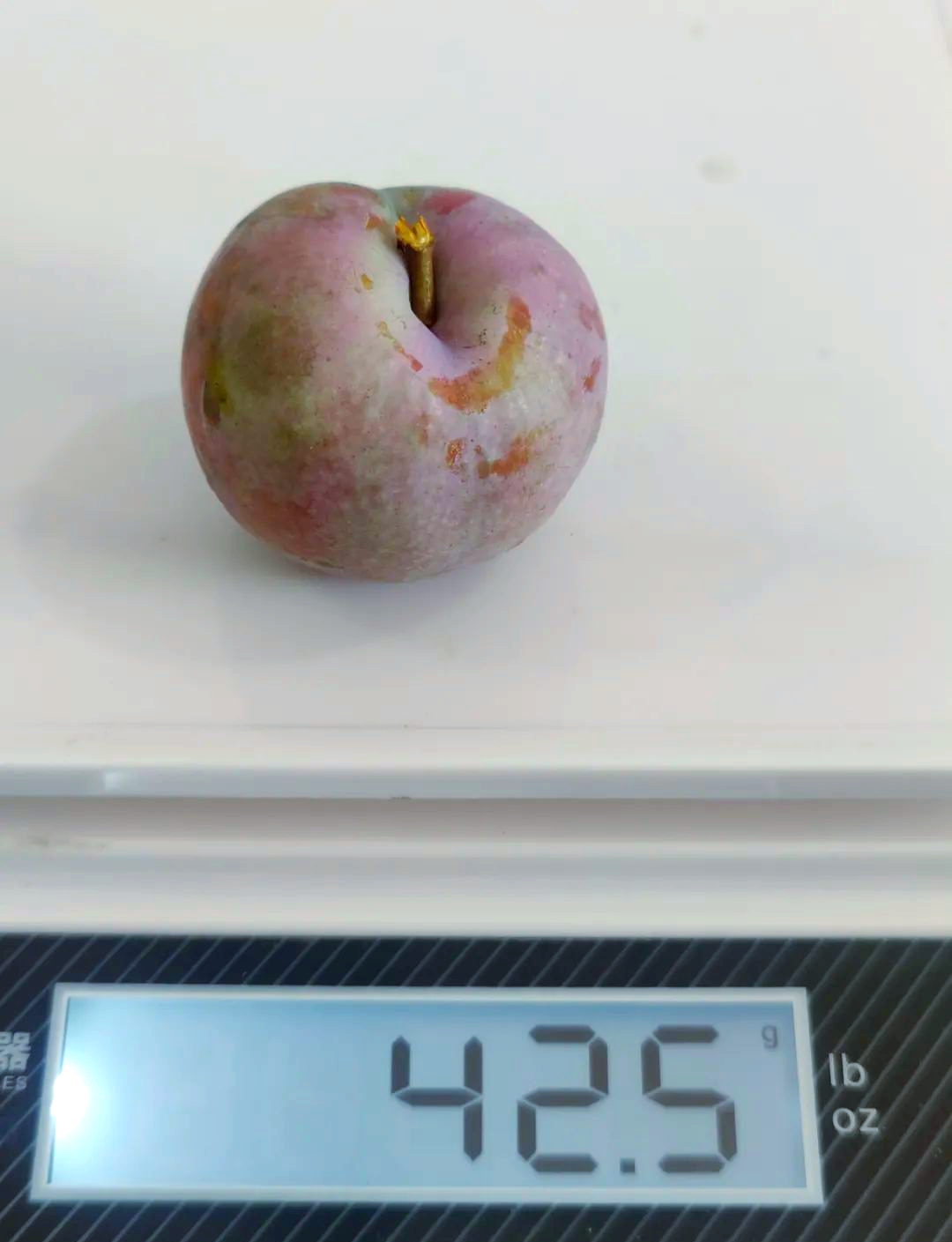 但需特别留意,任何经过检测发现农残超标的芙蓉李果品