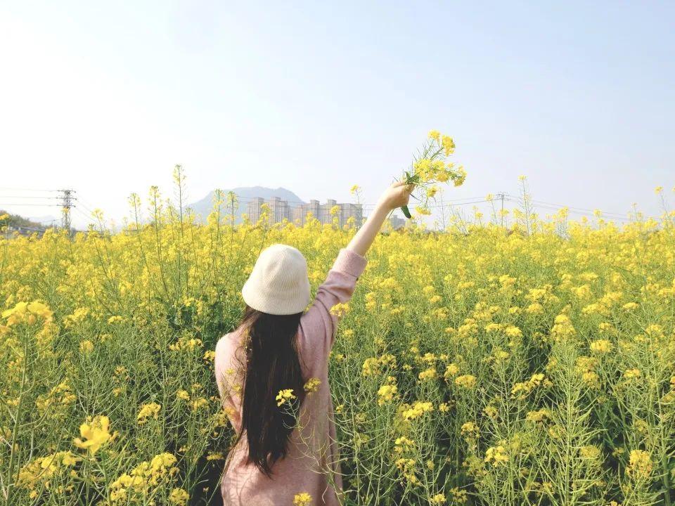 福州高新區南嶼春已至,賞花正當時