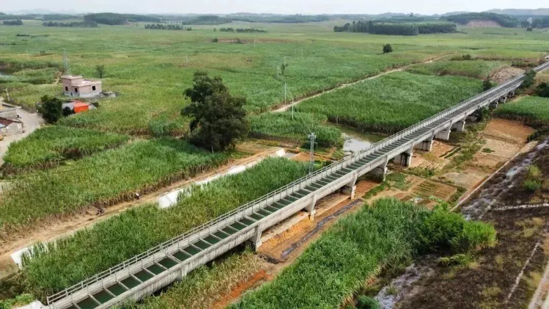 护航春灌!广西桂中治旱乐滩水库引水灌区工程逐步投入使用