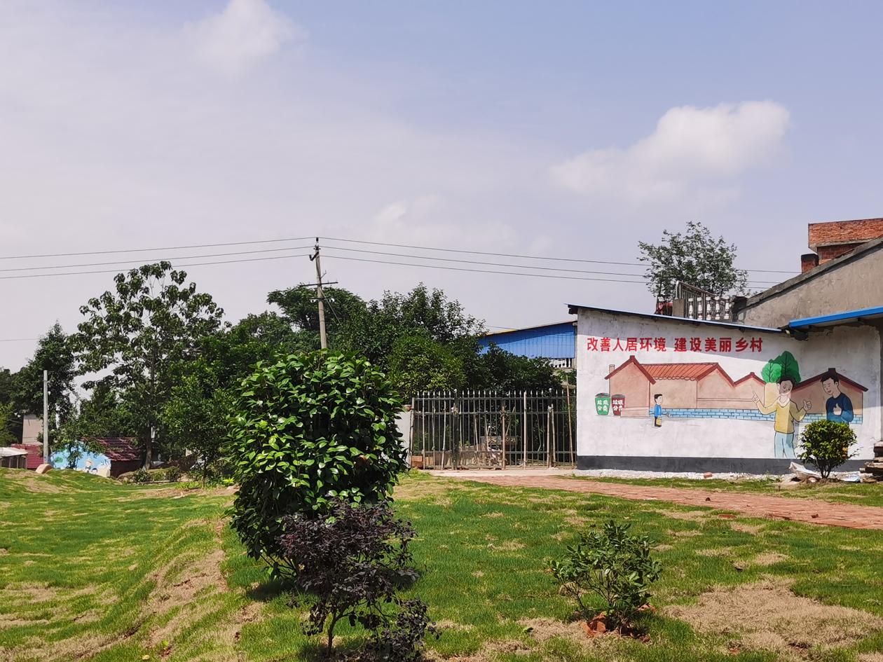 安庆市宿松县许岭镇:乡村焕新颜 宜居更幸福