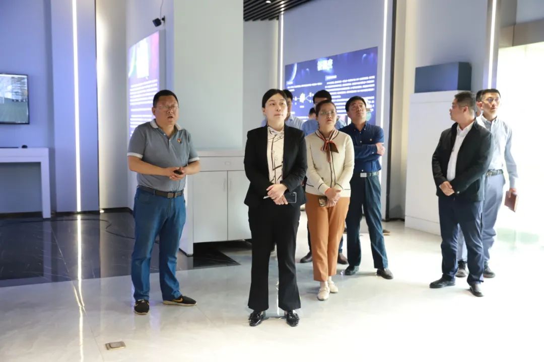区领导调研乡村振兴,老城保护更新工作