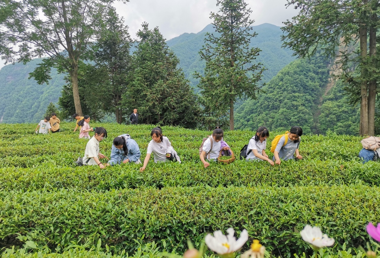 镇巴县盐场初级中学图片