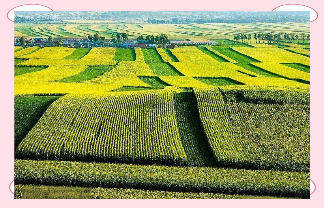 东北平原:中国东北部的沃土与多样矿产资源