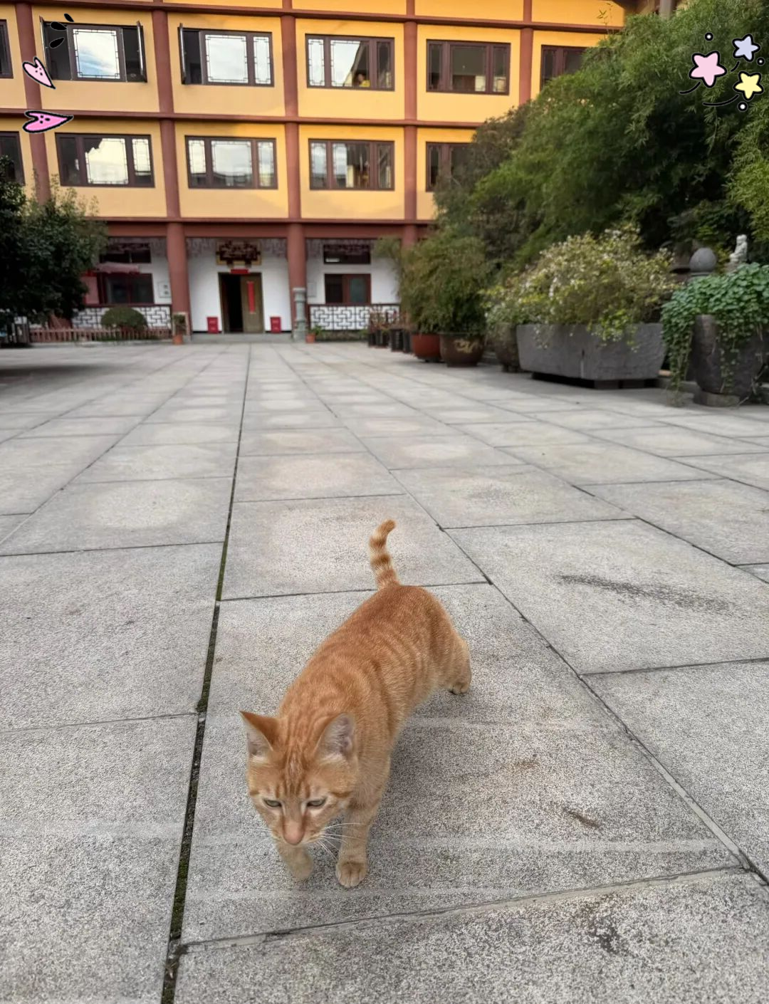 关于庙里超度狗的信息