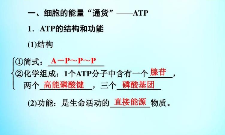 atp結構簡式