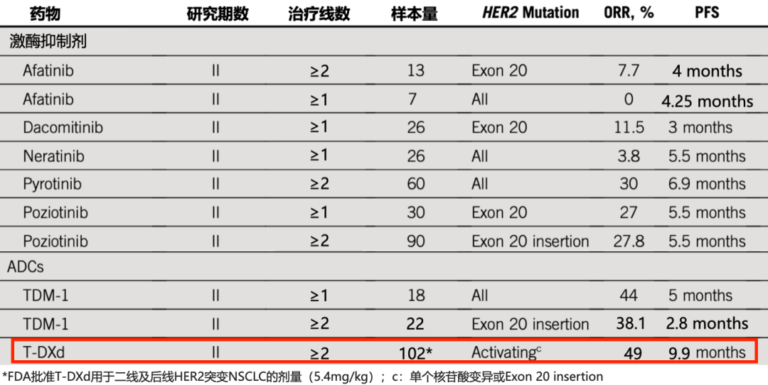 her2突變肺癌治療的破局之路深度剖析her2變異對肺癌