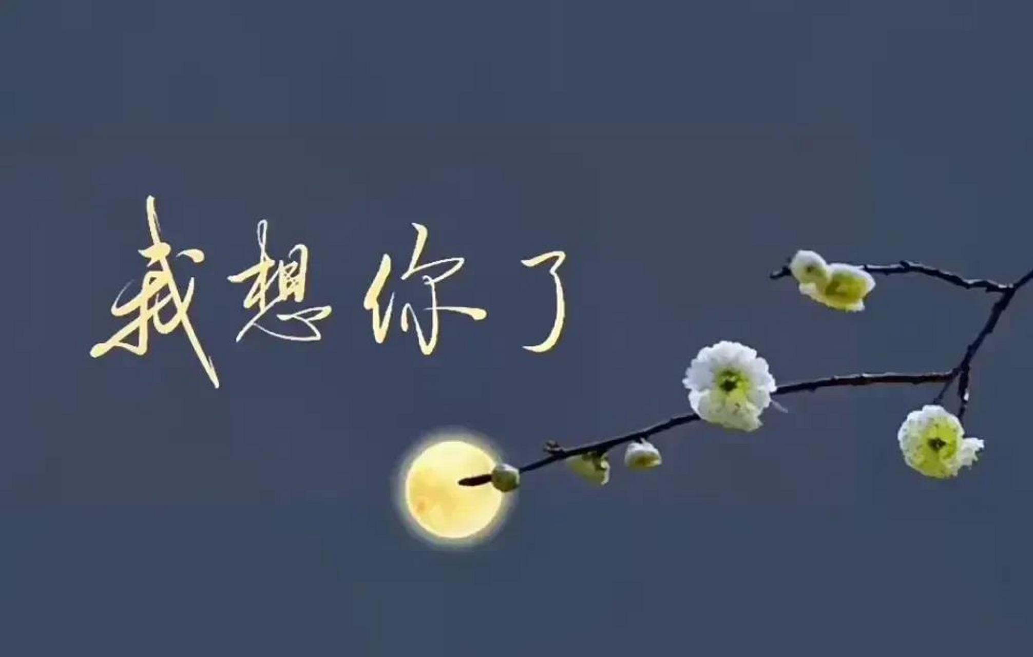 昨晚 又一次想你想得失眠 就是常常这样 在寂寞的夜里想你  想你的