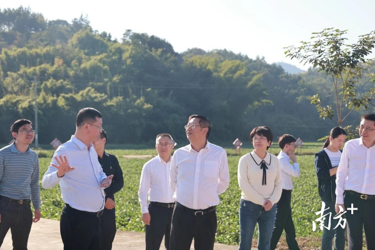 广州银行党委书记,董事长丘斌赴丰顺黄金镇调研乡村振兴驻镇帮镇扶村