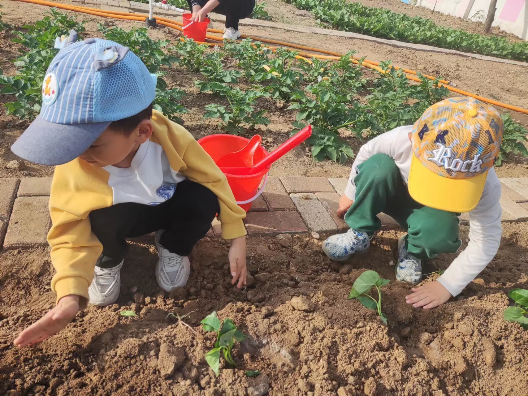 日照市東港區南湖鎮中心幼兒園:百草園日活動