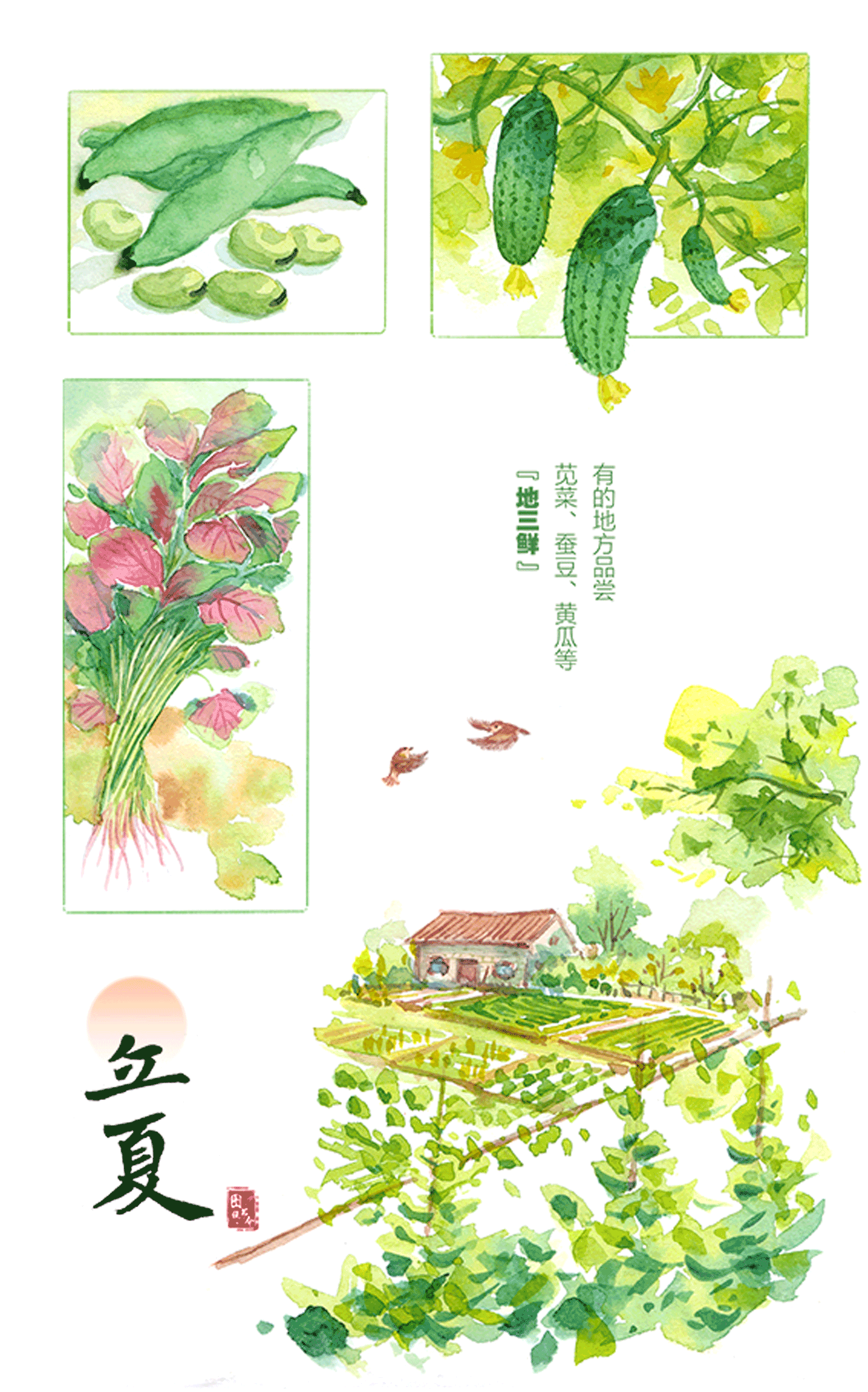 圖說節令｜水彩畫本里的立夏故事-有駕