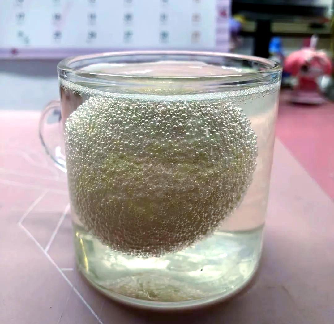 鸡蛋在白醋中的奇妙变化与科学探究