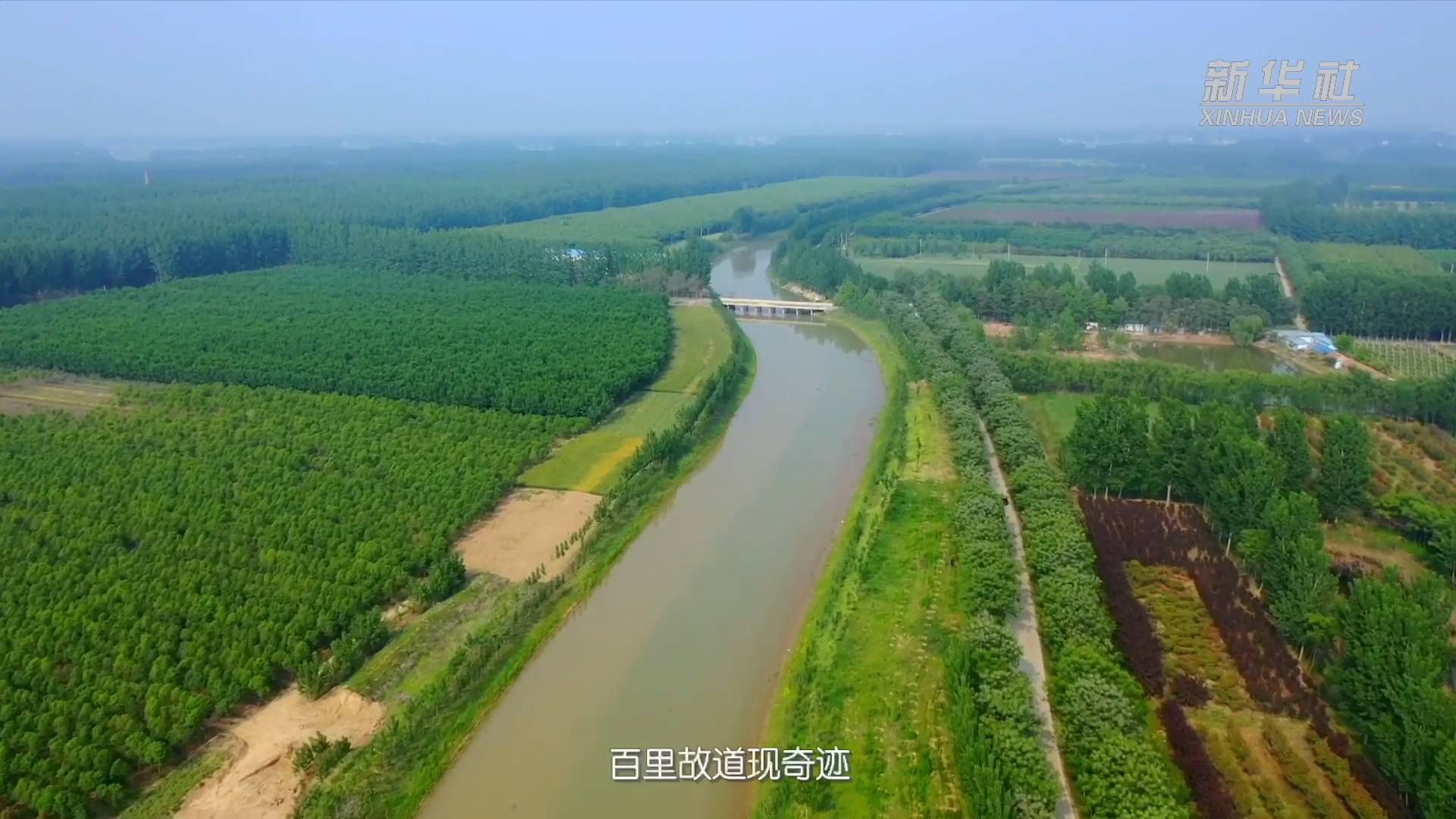 黄河故道那抹绿