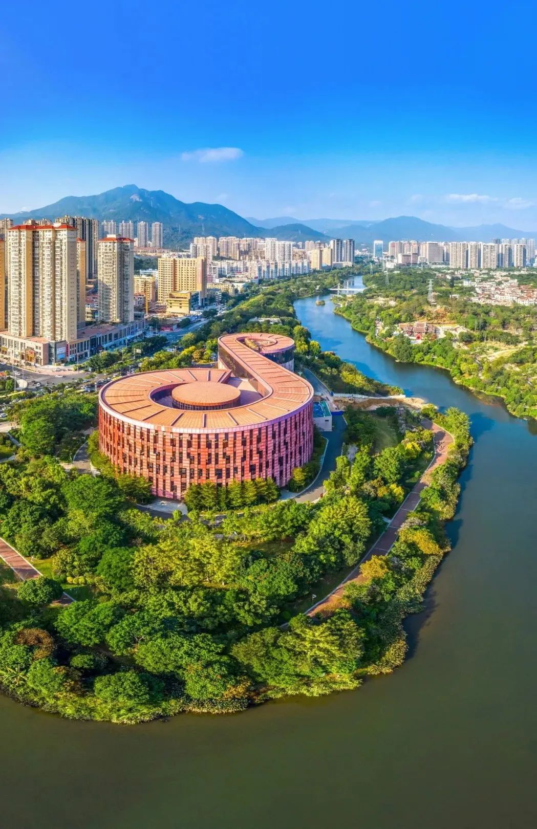 莆田荔枝,千年荔树,千年荔城