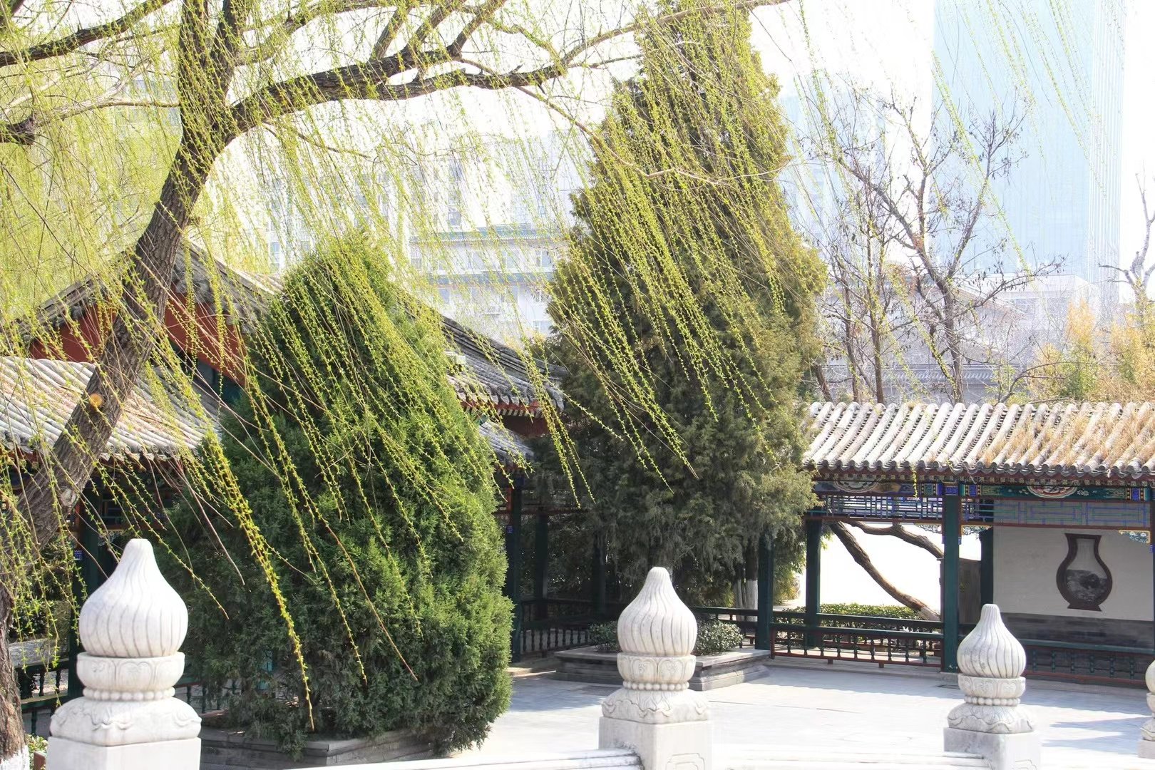 要拍春天,就不能只拍春天～这里是天津宁园