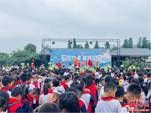 一粒米的旅行 株洲市二中青龙湾小学开展2023上学期研学活动