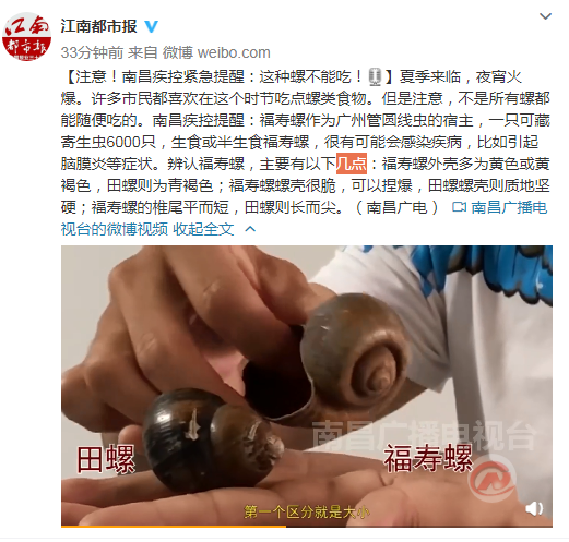 注意!南昌疾控緊急提醒:這種螺不能吃