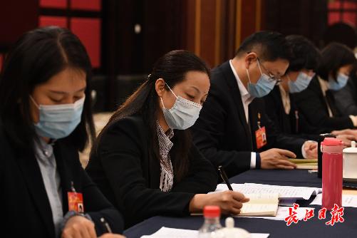 党代表张农:传承城市文化,从让孩子爱上家门口的文化开始