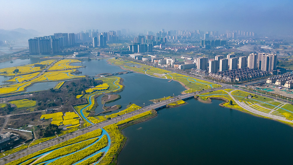 文明花开满城芳 眉山彭山城市美好向未来