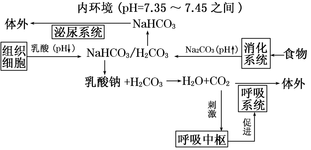 内环境的理化性质图片