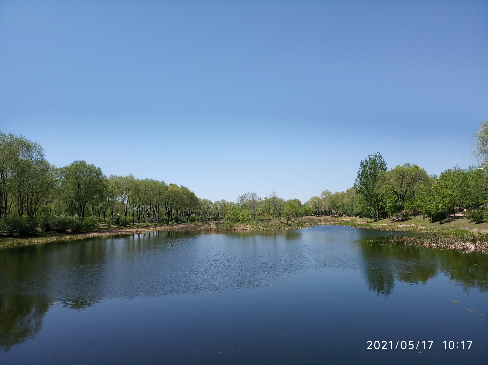 半个世纪前发生在牡丹江市莲花公园的故事