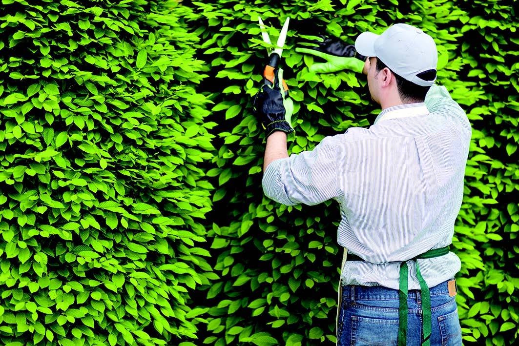 松江区首试社区园艺师援手修剪