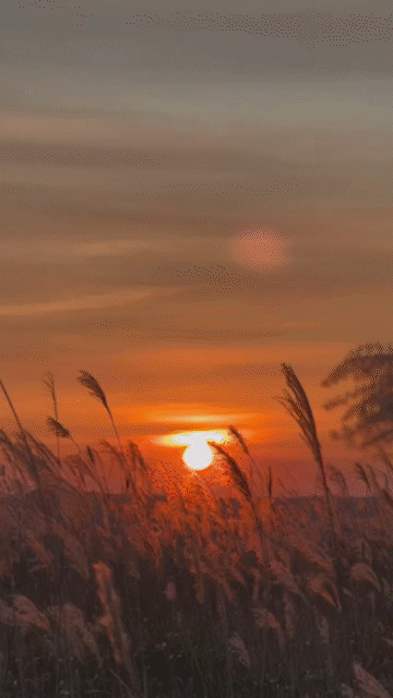 360_640竖版 竖屏gif 动态图 动图