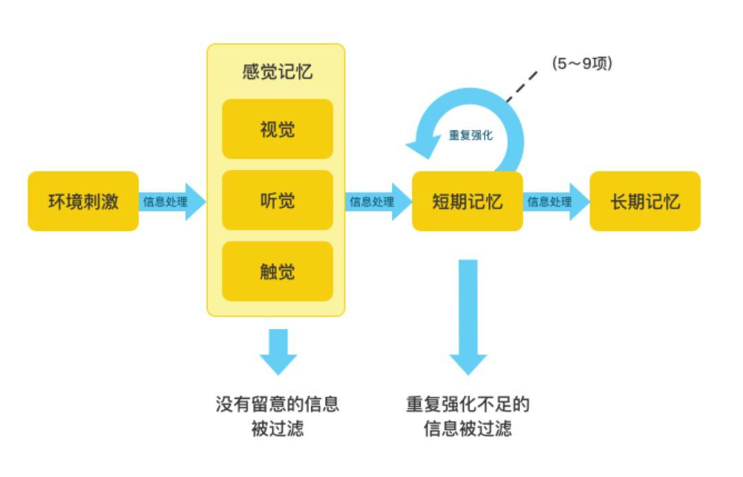 育儿心理学—人类记忆的结构以及婴儿期记忆的发展过程