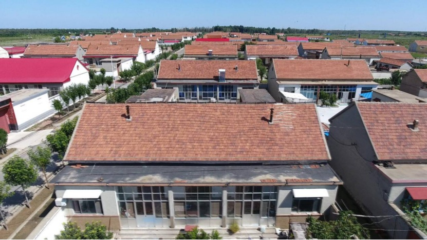 东营市河口区孤岛镇:文旅产业铺就乡村致富路