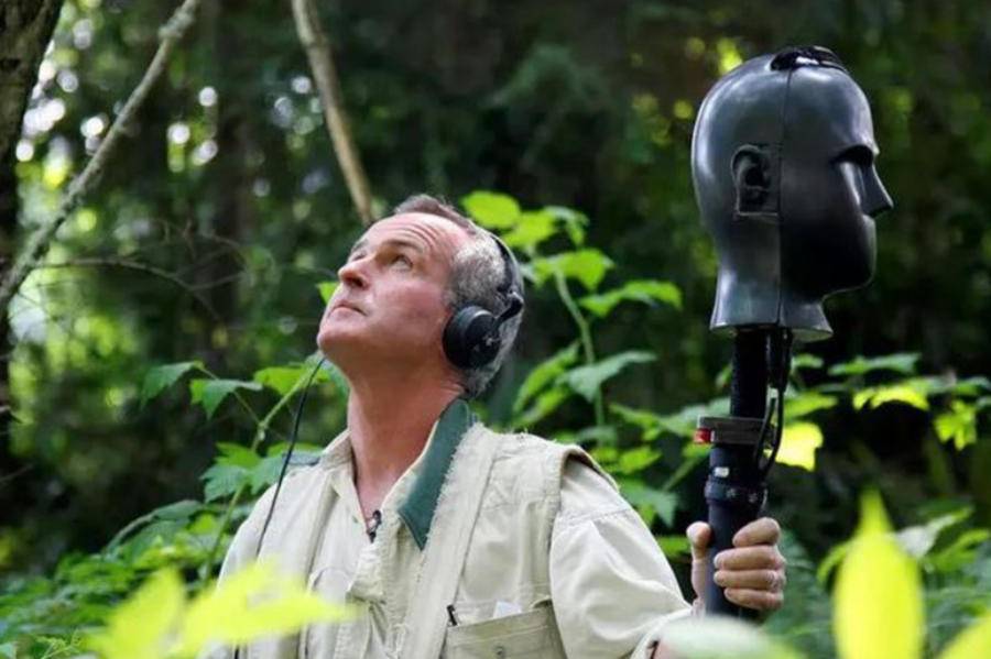 神奇职业"大自然录音师":来自声音的疗愈