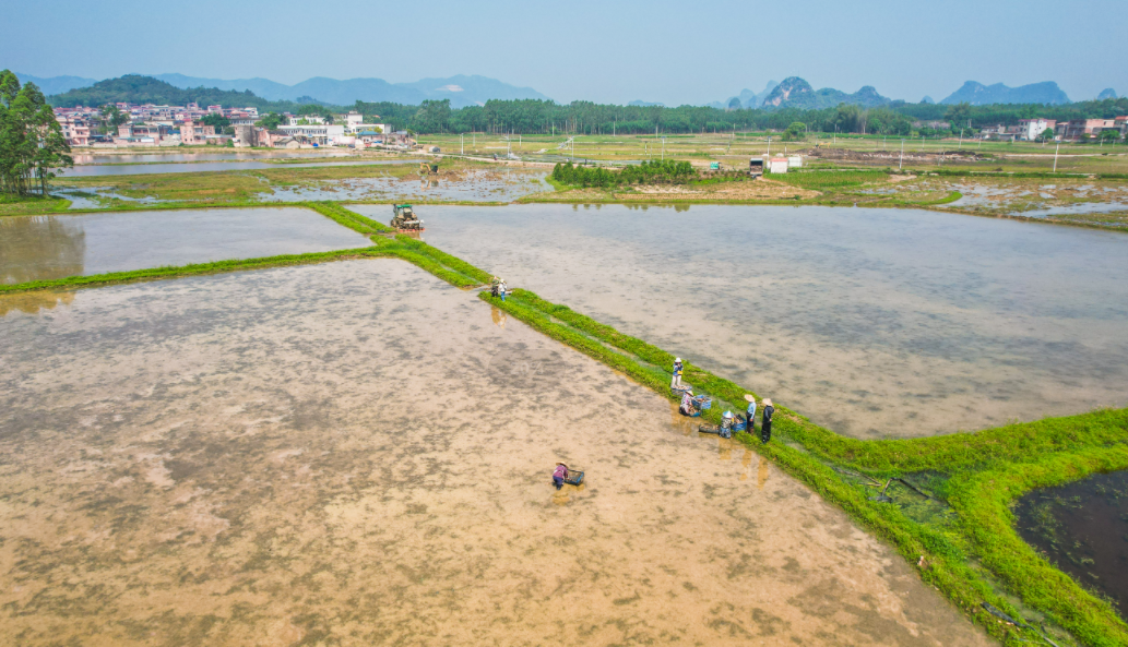 春种夏忙图片